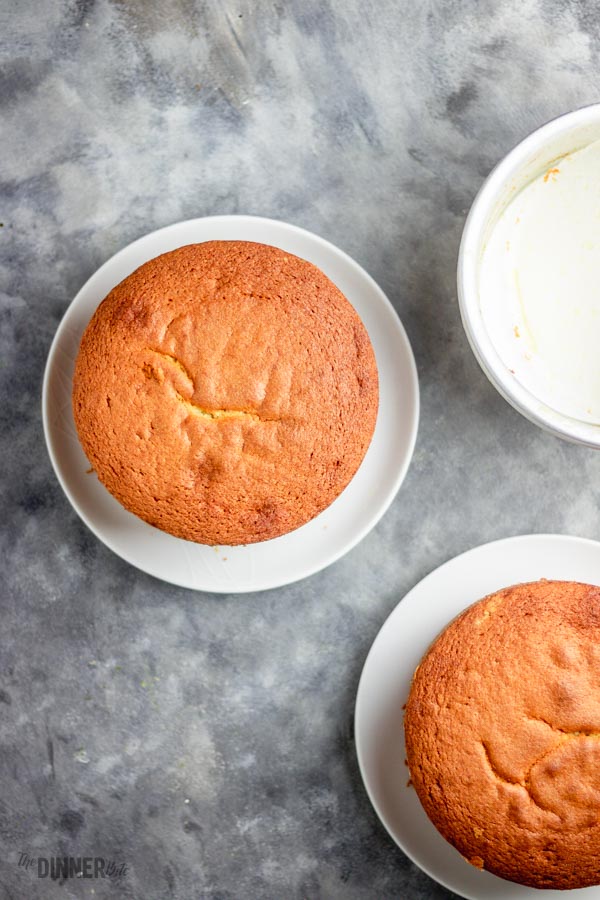 Madeira Sponge Cake – Brigids Cake Room