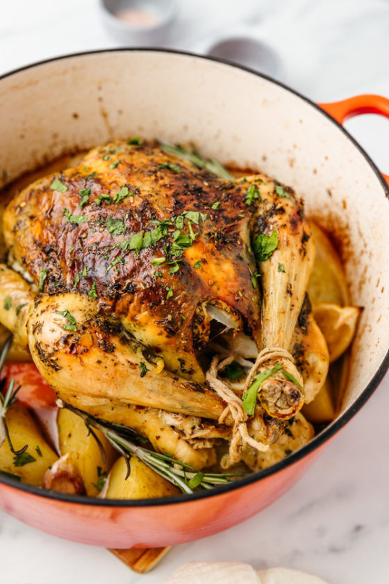 Dutch Oven Roast Chicken and Vegetables - The Dinner Bite